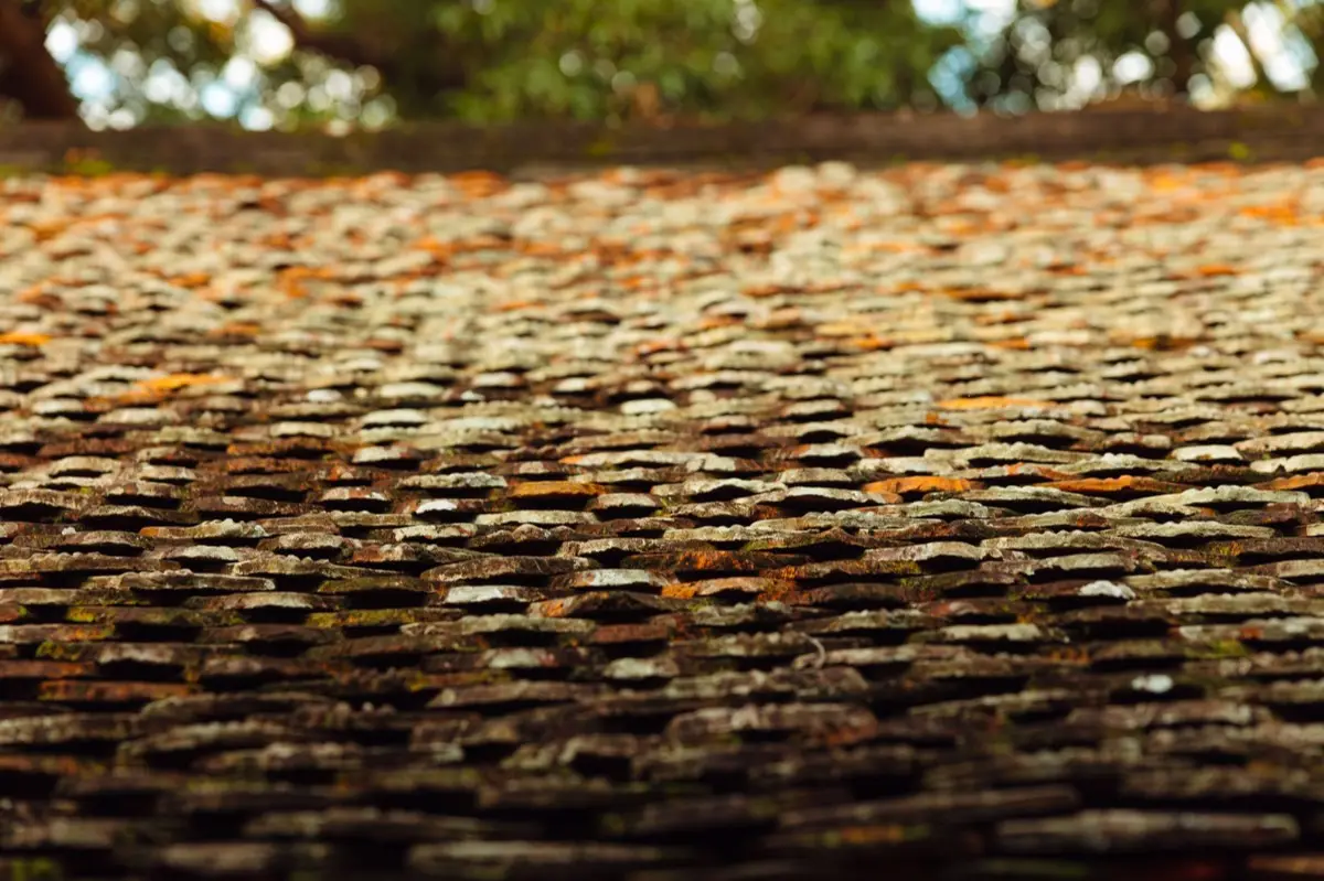 Aging shingle roof with moss growth and granule loss in Dothan, AL